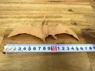 빈티지 대영 박물관 공룡 피규어 프테라노돈 1978