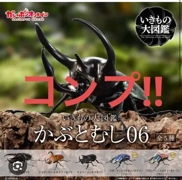 가샤폰 온라인 생물대도감 딱정벌레 06 전 5종 가챠