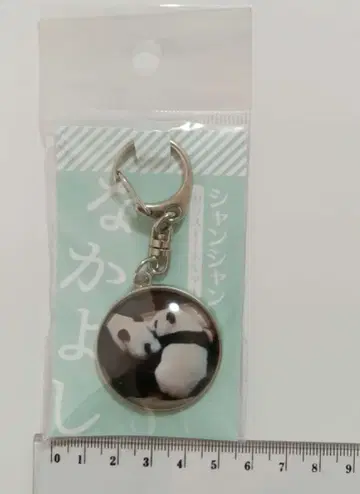 샹샹 유리 키링 다정한 친구 우에노 안내소