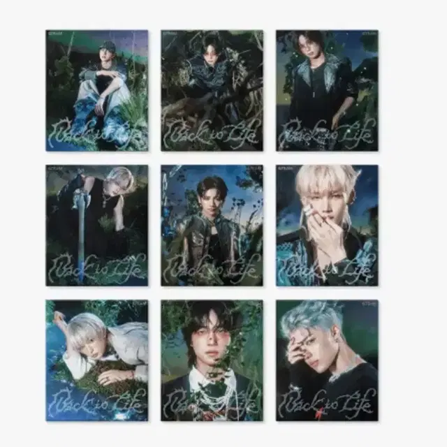 미개봉 앤팀 백투라이프 로어 앨범 균일가