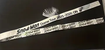 SnowMan 낙하물 은테 깃털 세트 판매