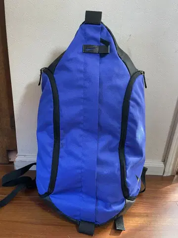 Nike 파랑 럭색/백팩