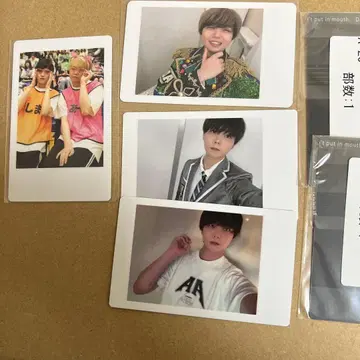 팬더드래곤 모찌모찌 아즈 하피카 DD 대운동회 파라곤