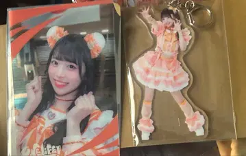 iLife 복권 작은 곰 세트