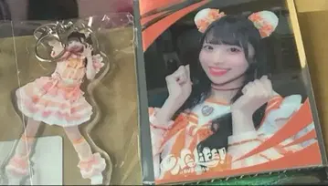 iLife 복권 작은 곰 세트