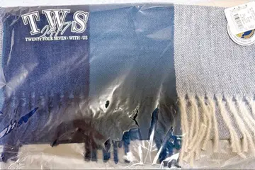 WEGO TWS 그래픽 체크 스톨