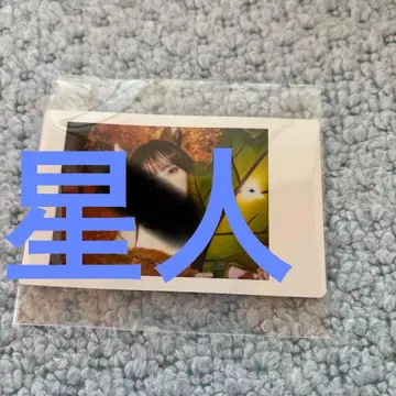 야마다 세이아 폴라로이드