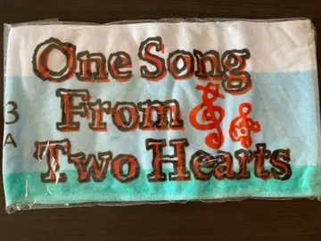 SOLIVE TOUR 2013 타월