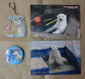 도베 동물원 북극곰 피스 발리바 굿즈 4