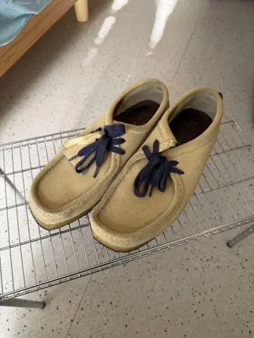 CLARKS 왈라비 베이지