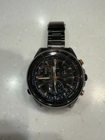 WILD 블랙 크로노그래프 손목시계