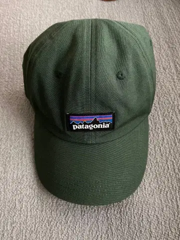 Patagonia 파타고니아 캡 파인 그린