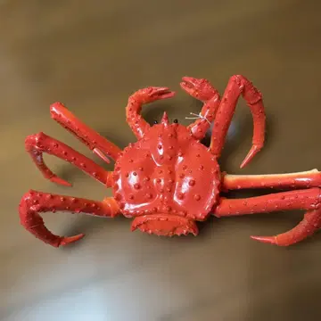 타라바가니 액션 피규어 게 BIG