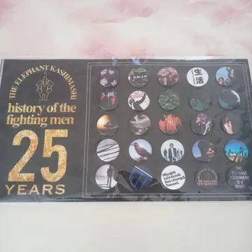 엘리펀트 카시마시 25주년 핀즈