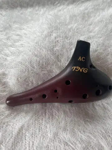 오카리나 TNG AC관