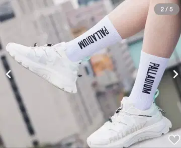 PALLADIUM 24.0 새상품