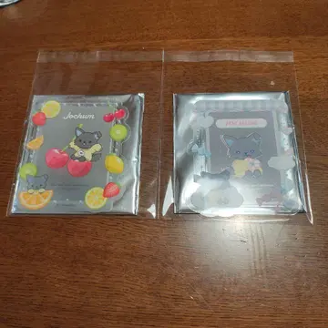 JOCHUM 피하이 경질 카드 케이스 세트