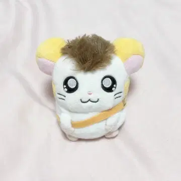 봉제 인형 단종 완판템