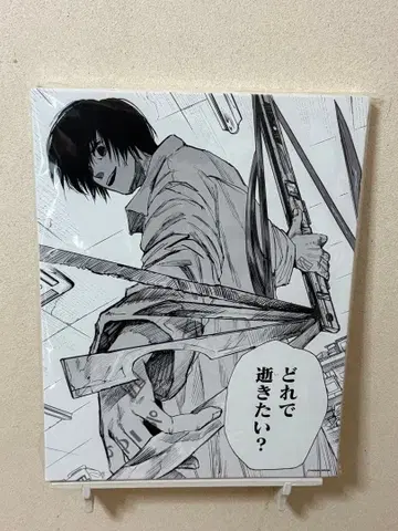 사카모토 데이즈 나구모 BIG 아트 보드 캔뱃지