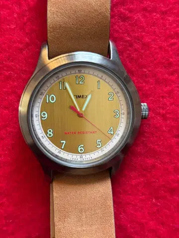 TIMEX RE-ISSUE 손목시계 골드 다이얼