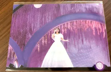 니시노 카나 구매 혜택 클리어 파일