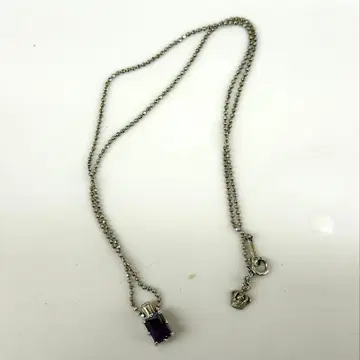 Justin Davis 저스틴 데이비스 보물 가슴 목걸이