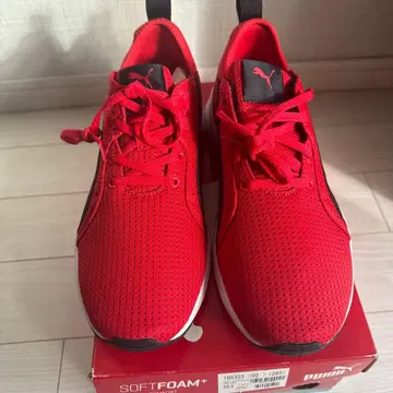 푸마 CELL MODERATE 셀 모데레이트 195323