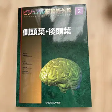 비주얼 뇌신경외과 2 측두엽 후두엽