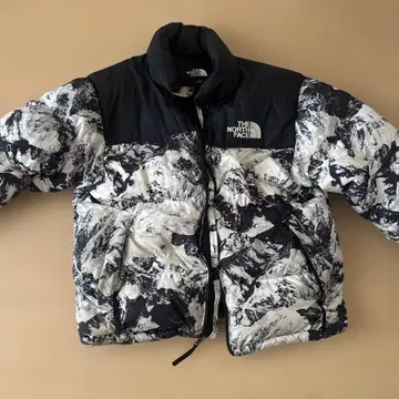 THE NORTH FACE 다운 자켓 한국 한정판 모델