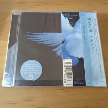 첫사랑의 폭풍 세컨드