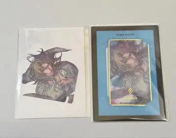 카뮤 비쥬카 스티커 솔로 베스트 앨범