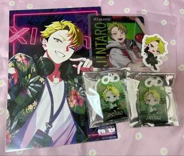 비바렌 XlamV 진타로 묶음 판매