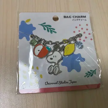 USJ 스누피 백참 후르츠