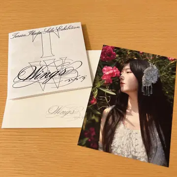 노기자카46 이케다 에이사 입장 특전 엽서 봉투 미니 팸플릿 오리의 꿈