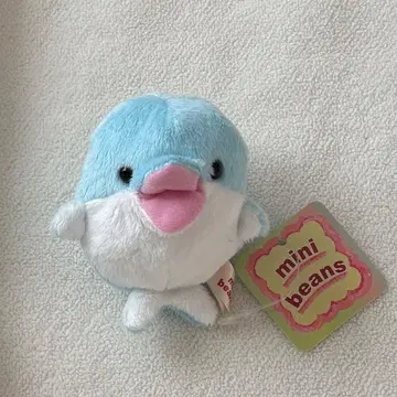 mini beans 돌고래 미니콩