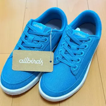 [ 새상품 ] Allbirds 올버즈 캔버스 스페이서 22cm 블루