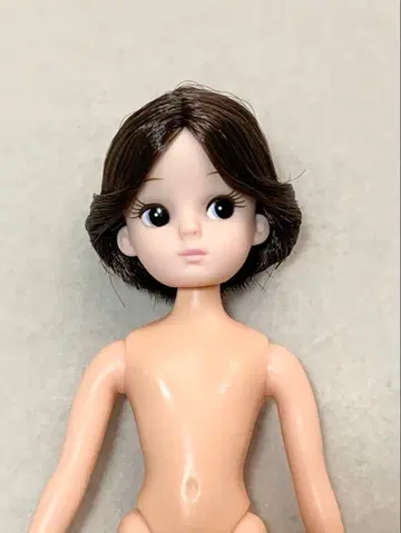 타카라토미 레트로리카 세일러즈 바시티 자켓 패션 본체만