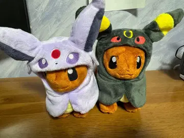 이브이 판초 에브이 and 블래키