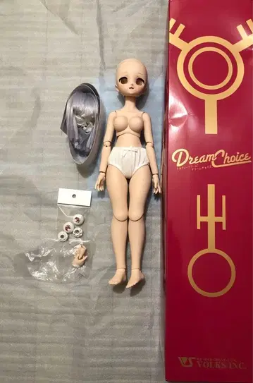 Volks MDD (드림 초이스) 모찌아시