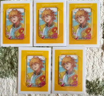 우타프리 솔로 앨범 비주얼 카드 나츠키