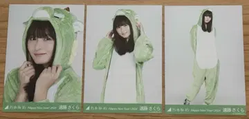 노기자카46 브로마이드 2024 간지 용 엔도 사쿠라