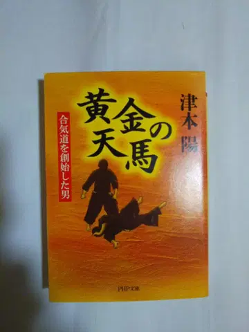 황금의 천마 합기도를 창시한 남자