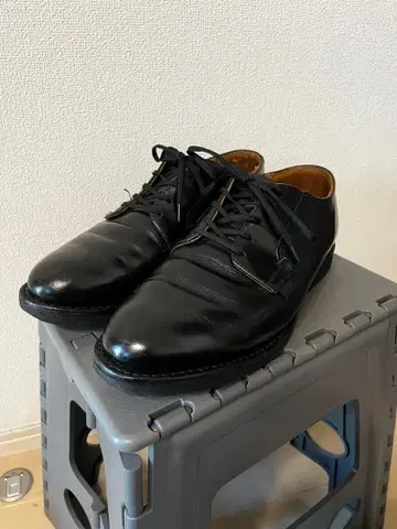 RED WING SHOES 포스트맨 슈즈 7.5 USA