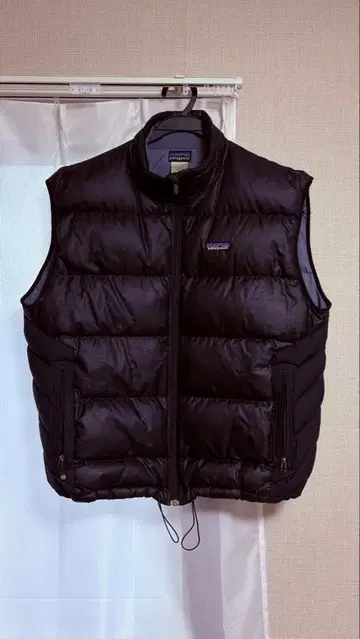 Patagonia 다운 베스트