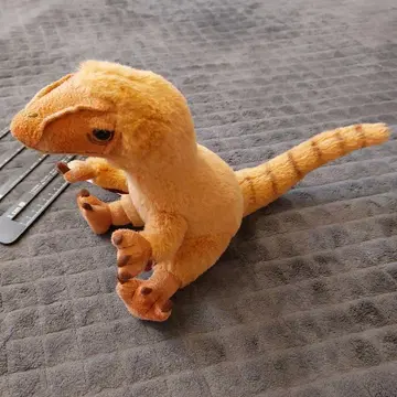 후쿠이현립 공룡 박물관 FPDM 후쿠이베나토르 봉제 인형