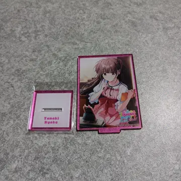 샤인포스트 타마키 안나 1 카드형 아크릴 스탠드