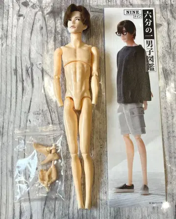 6분의1 남자 도감 서점의 나인 본체만