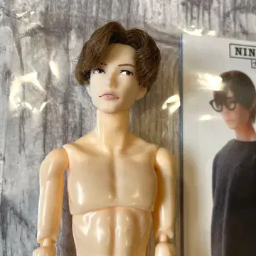 6분의1 남자 도감 서점의 나인 본체만