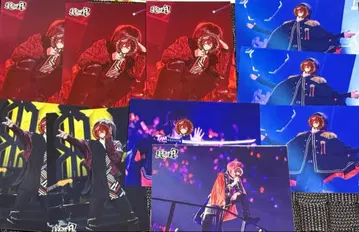 KnightA 기사A 실사 브로마이드 바우군 바우