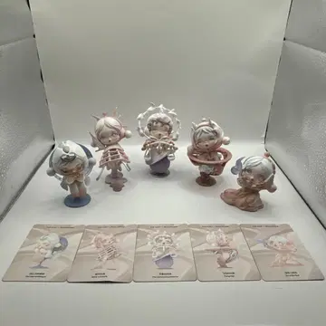 SKULLPANDA The Paradox 5체 스컬팬더 패러독스